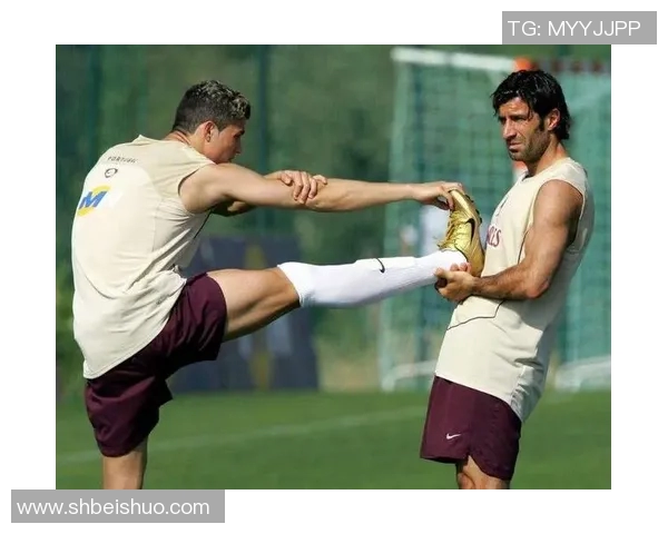 痛恨韩国足球明星背后的故事与争议引发的热议与思考