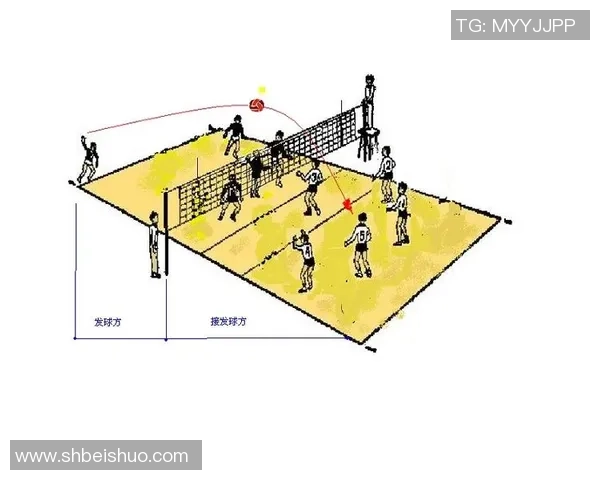 南京排球队整体压制战术解析与其在排球赛场上的优势体现